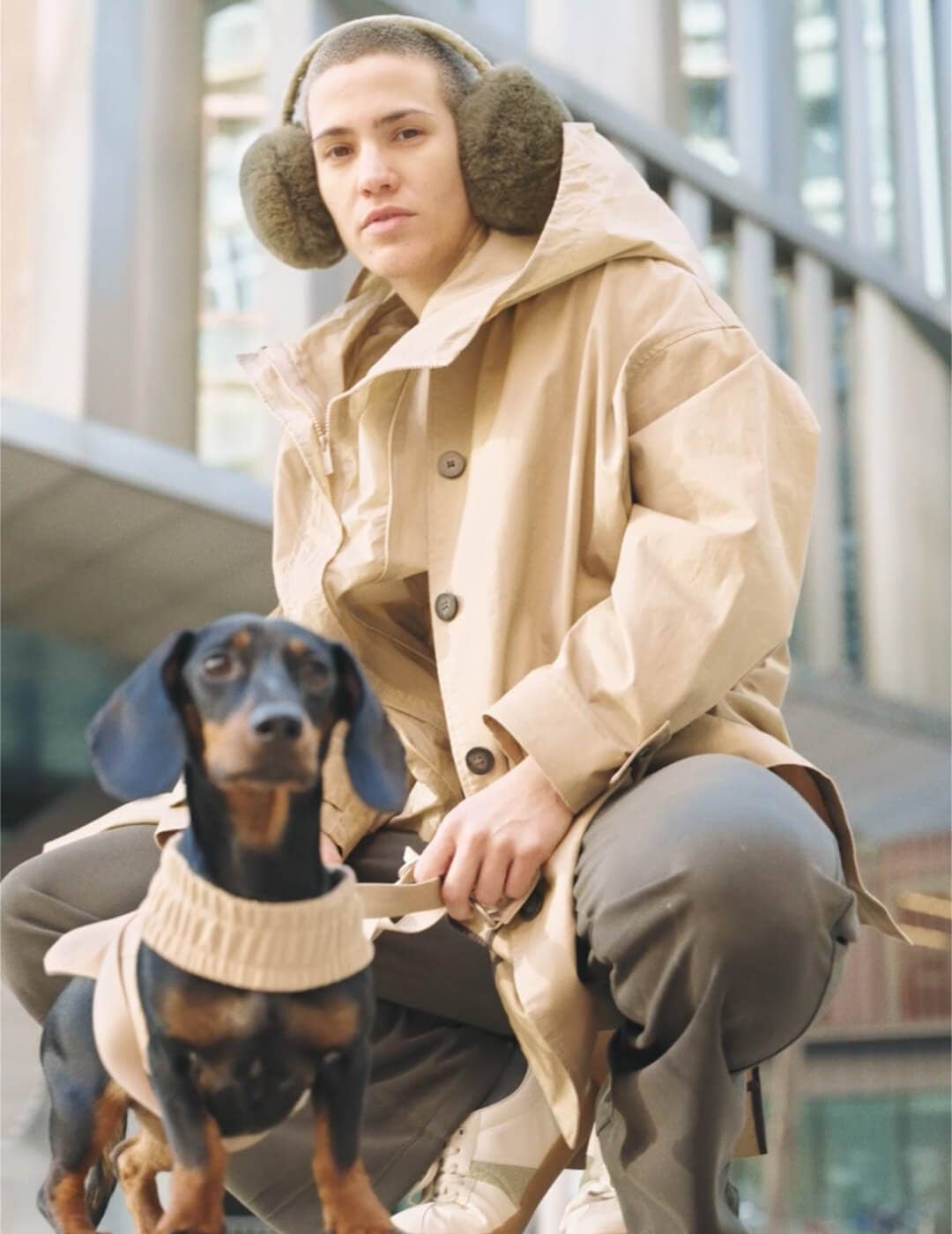 Dog harness for small dogs that converts into a jacket