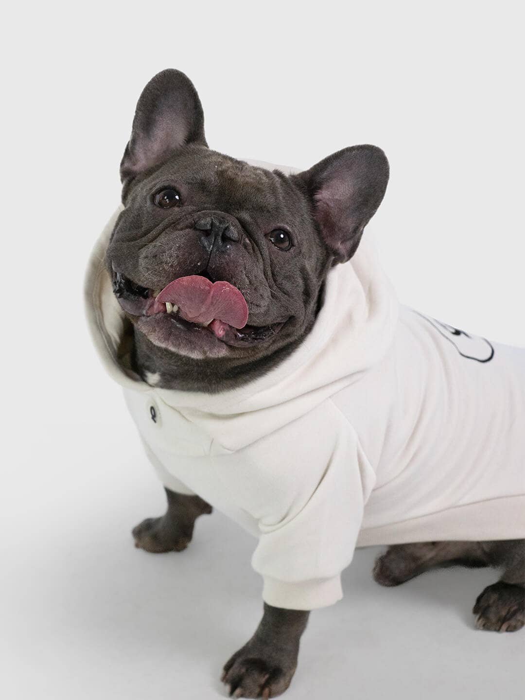 Dog Hoodie "Qisu"