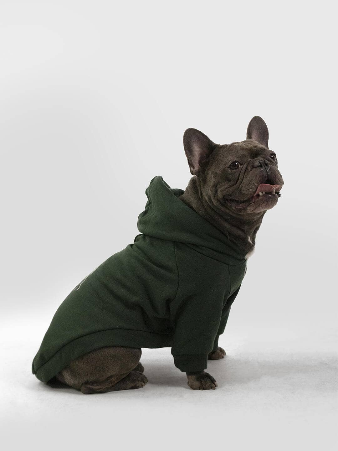 Dog Hoodie "Qisu"