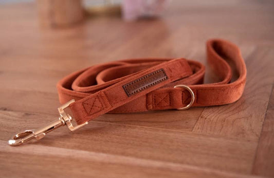Velvy Coco Leash