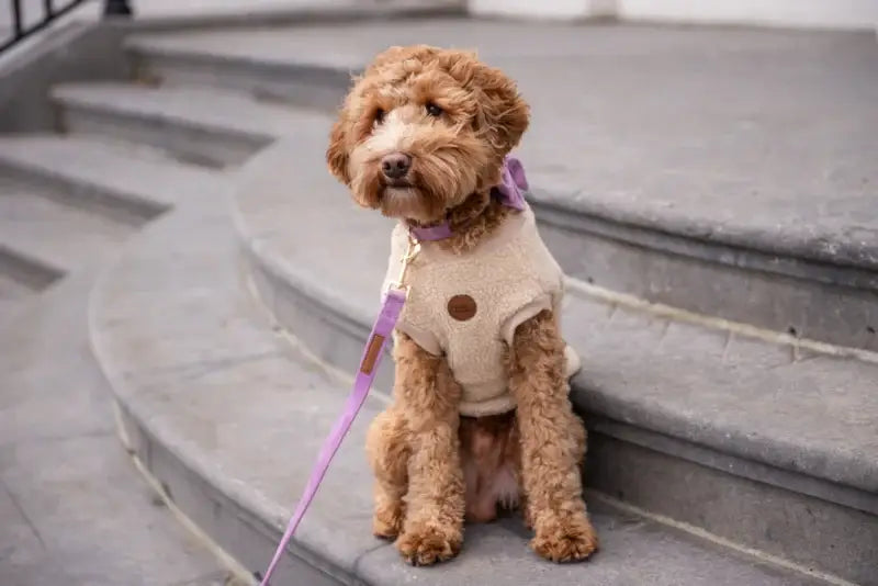 Walking Teddy Bear Beige