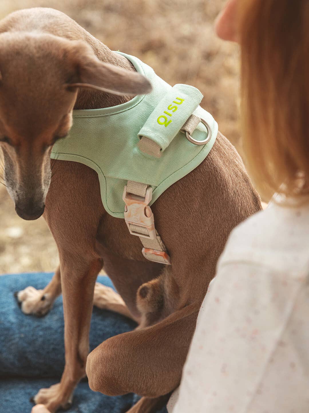 Dog harness | Hug Harness
