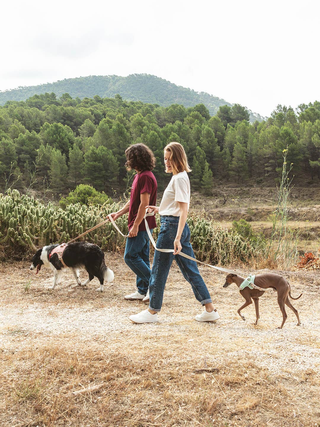 Dog harness | Hug Harness
