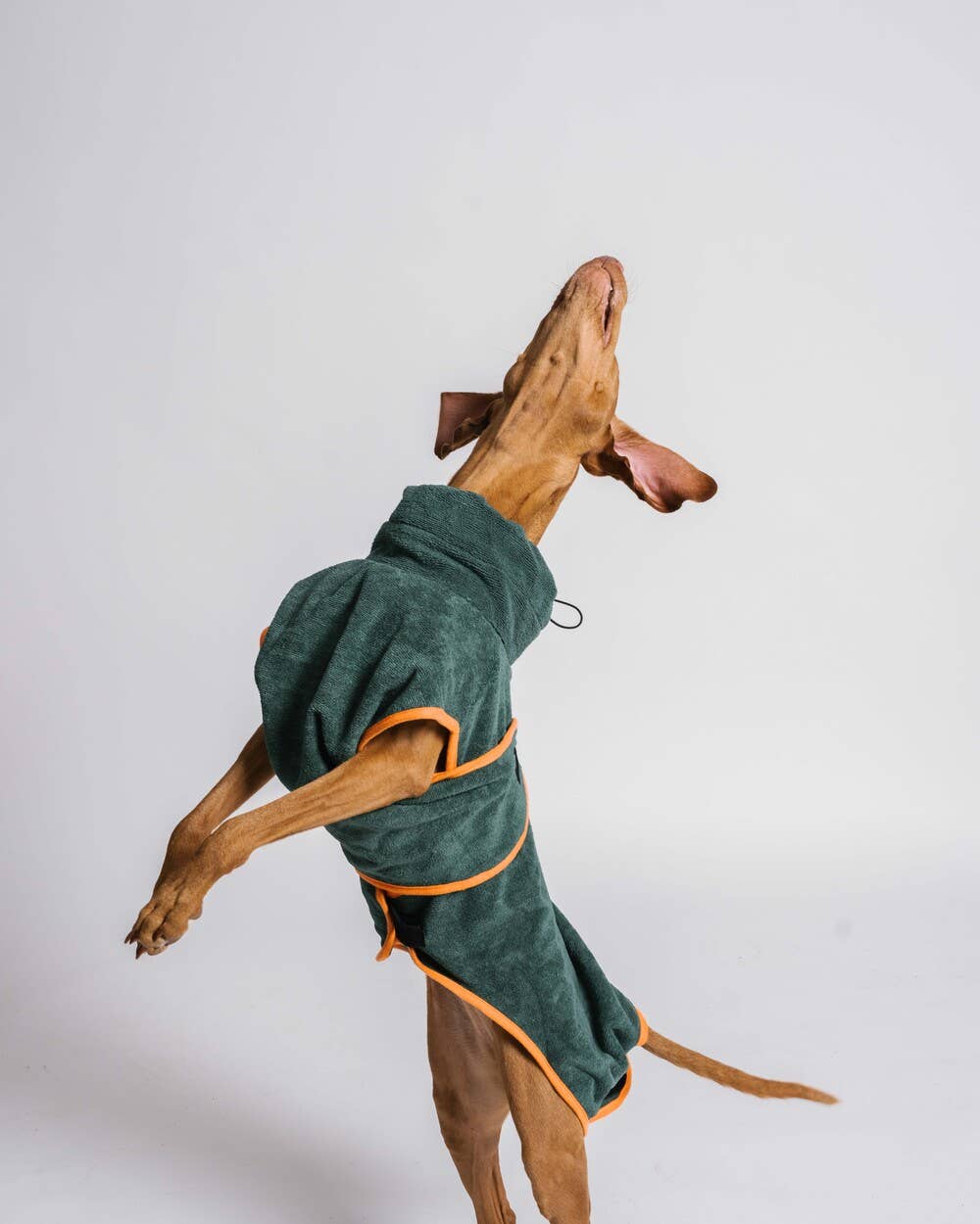 Dog Robe / Dog Dry Towel - Green & Orange