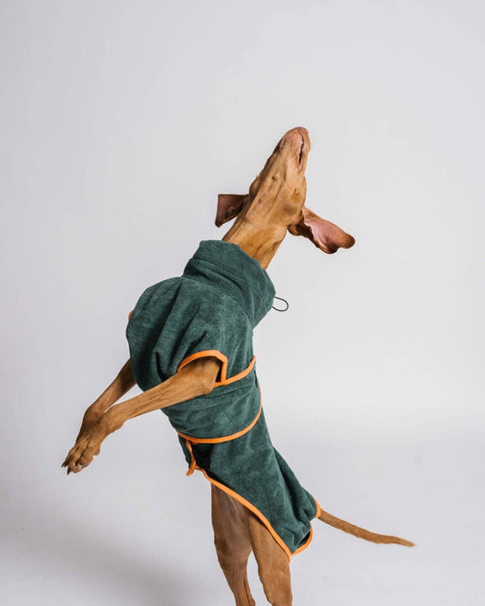 Dog Robe / Dog Dry Towel - Green & Orange
