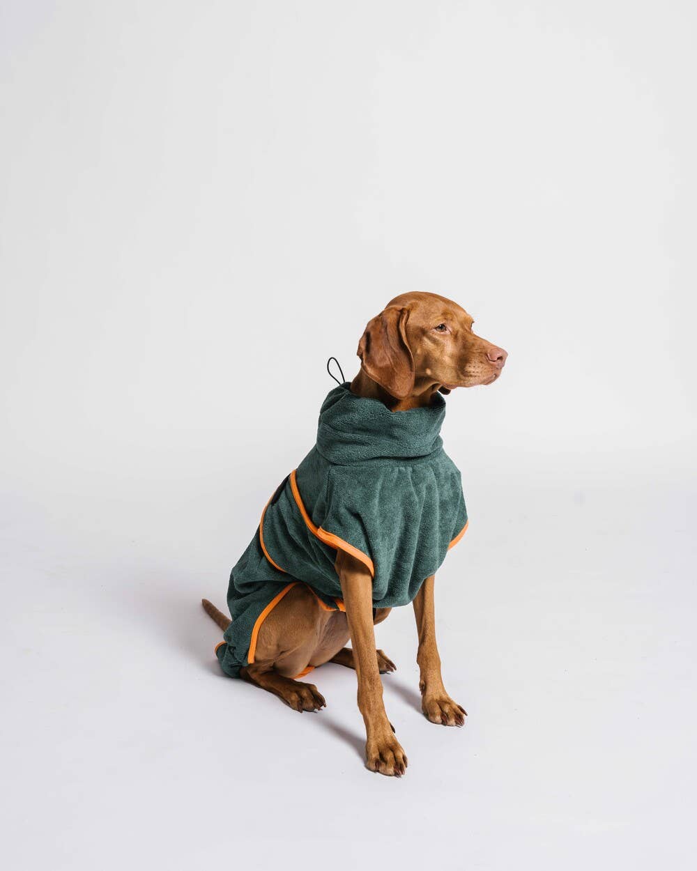 Dog Robe / Dog Dry Towel - Green & Orange