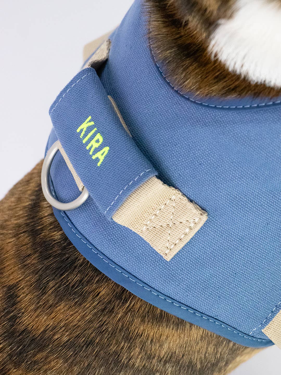 Dog harness | Hug Harness