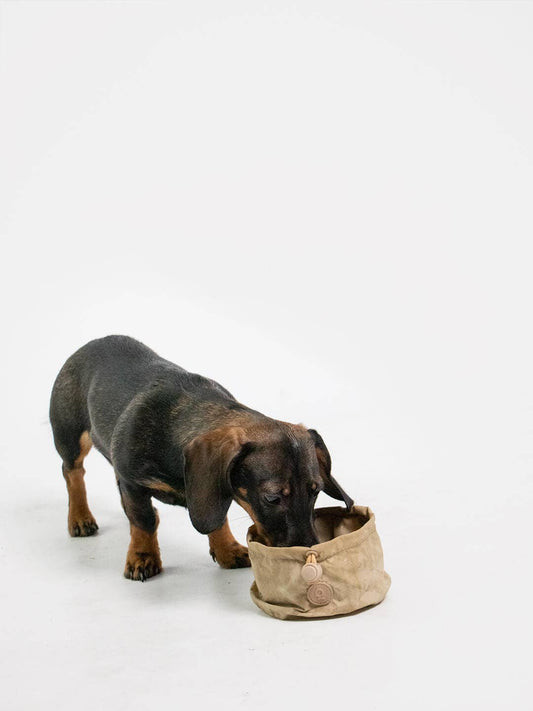 Dog Portable Bowl | Pocket Bowl™