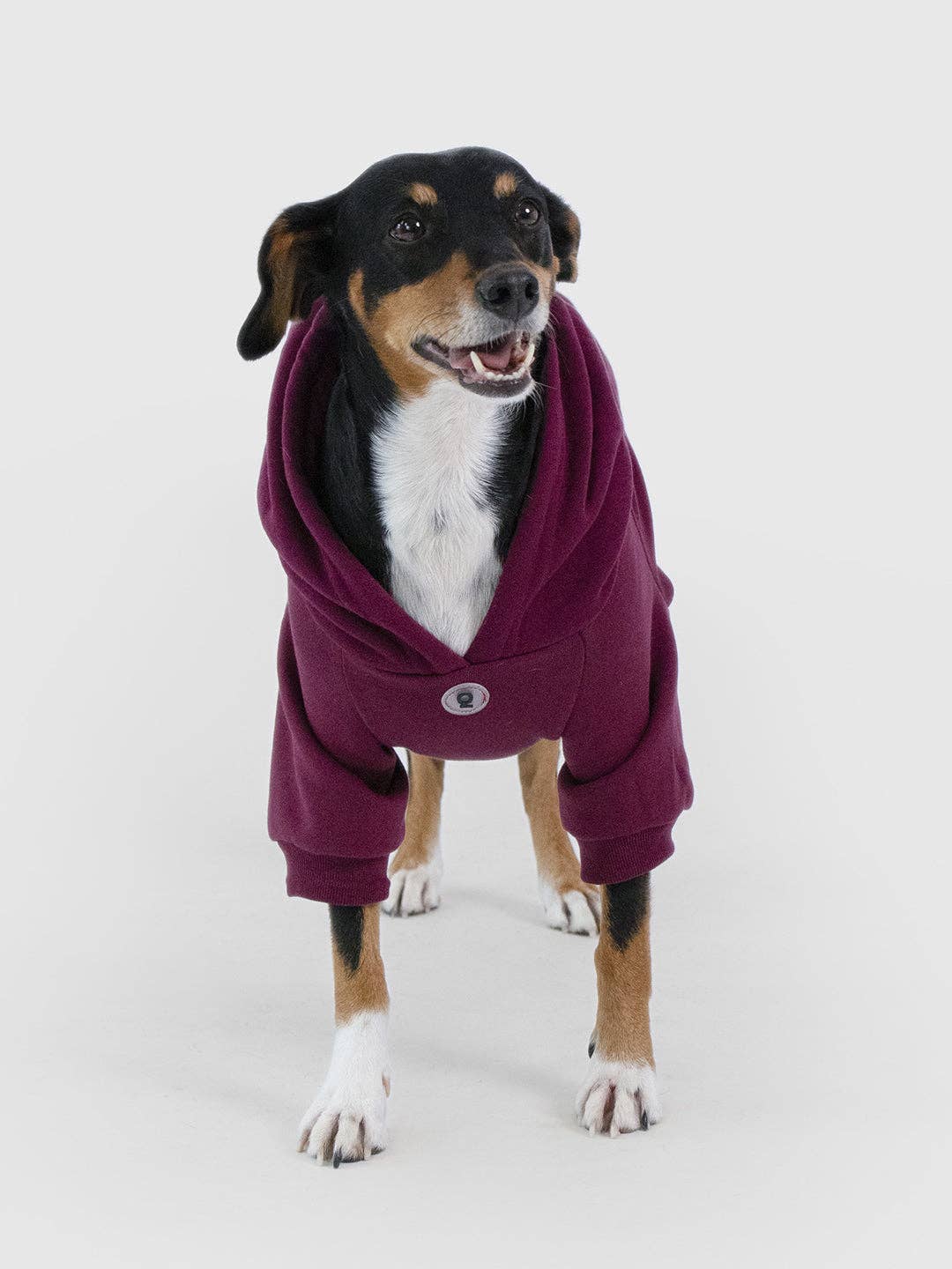 Dog Hoodie "Hand&Paw"
