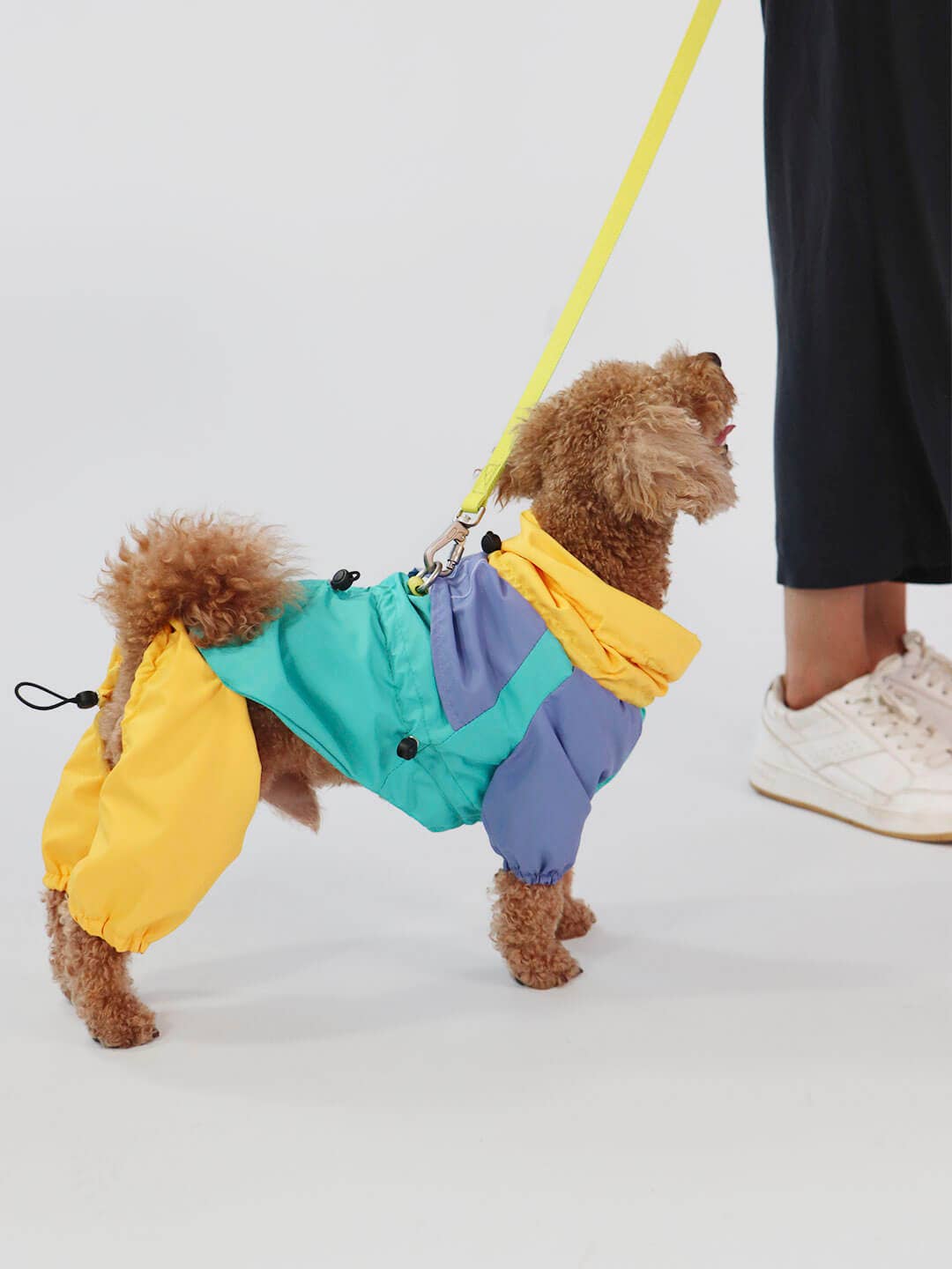 Raincoat for dogs | Tropical color