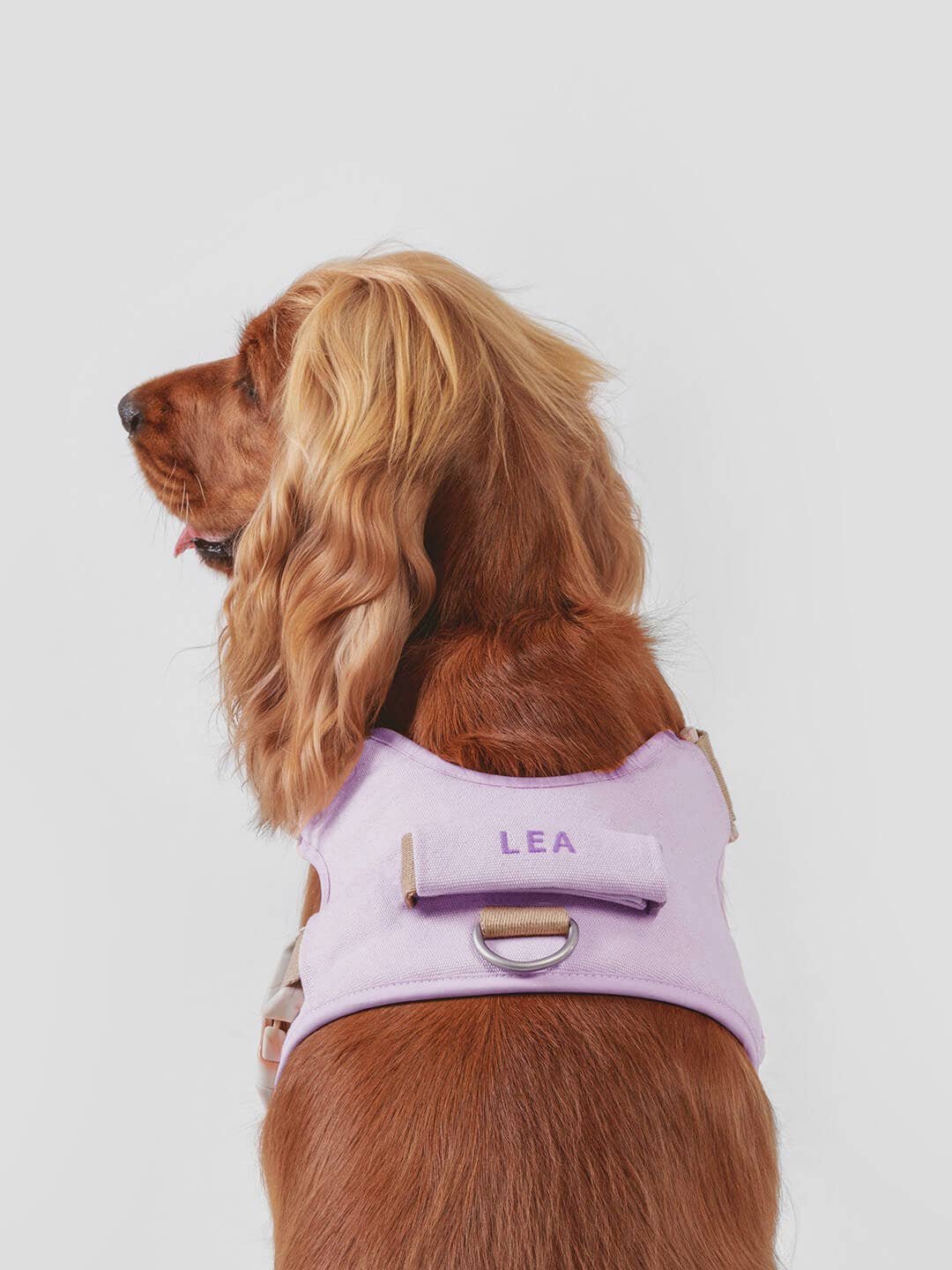Dog harness | Hug Harness