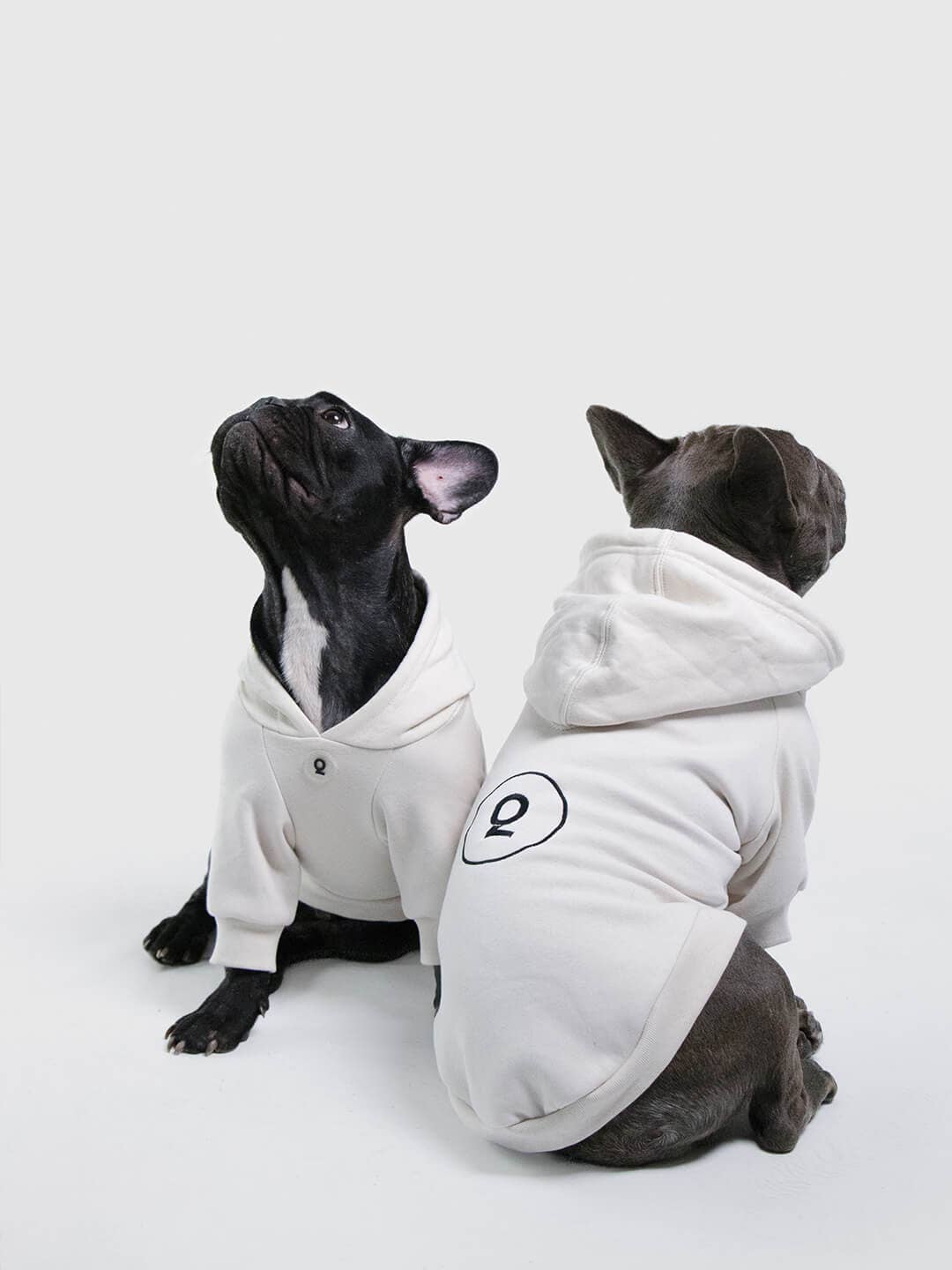 Dog Hoodie "Qisu"