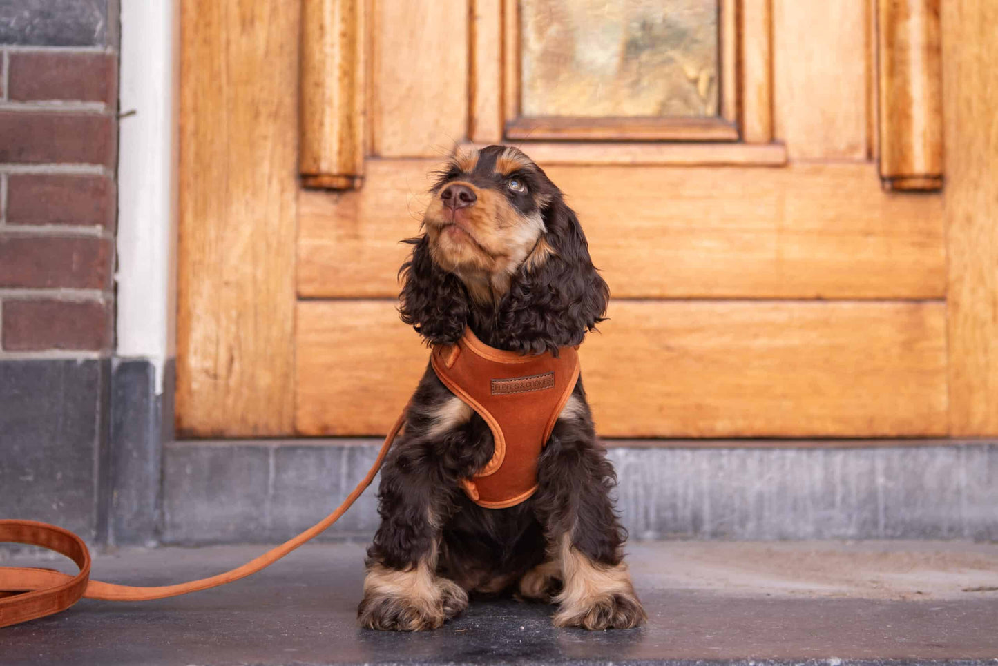 Velvy Coco Harness