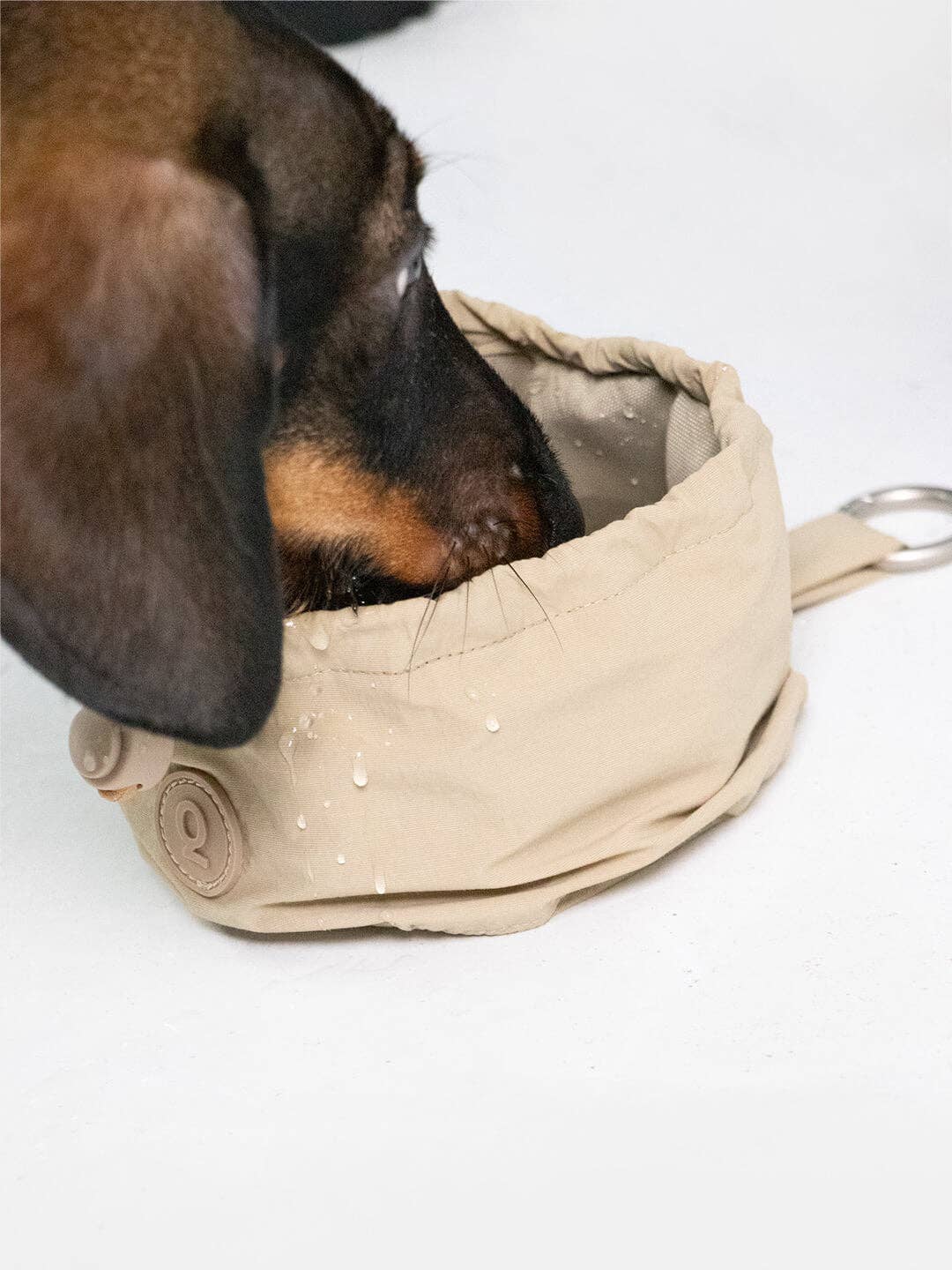 Dog Portable Bowl | Pocket Bowl™