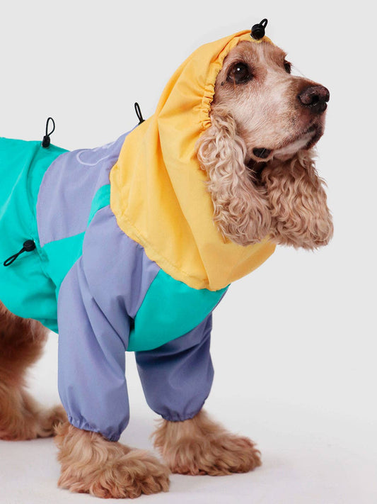Raincoat for dogs | Tropical color