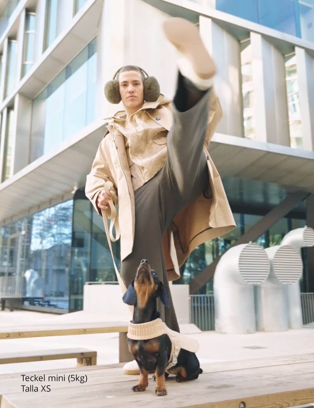 Dog harness for small dogs that converts into a jacket