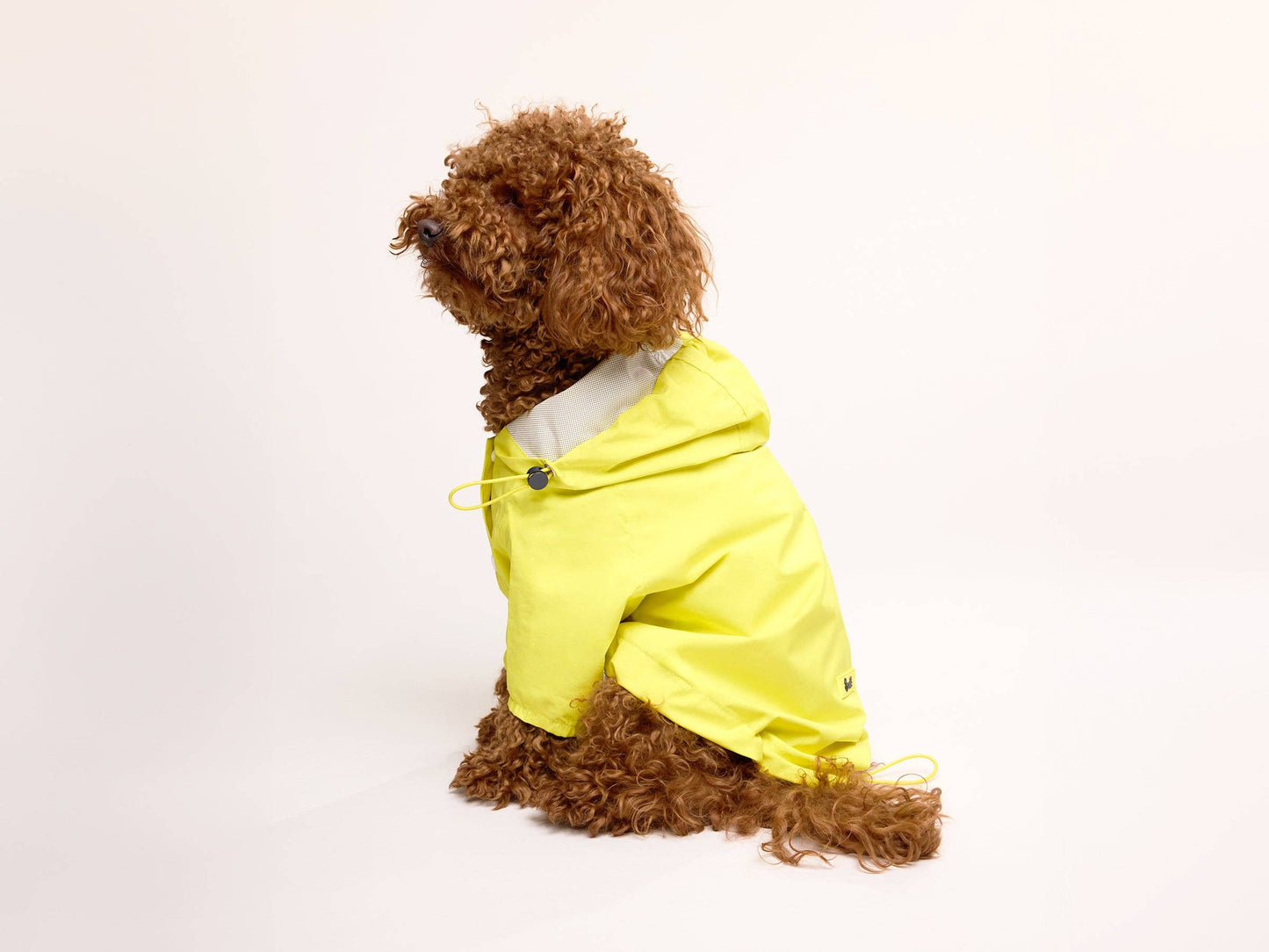 Yellow dog raincoat
