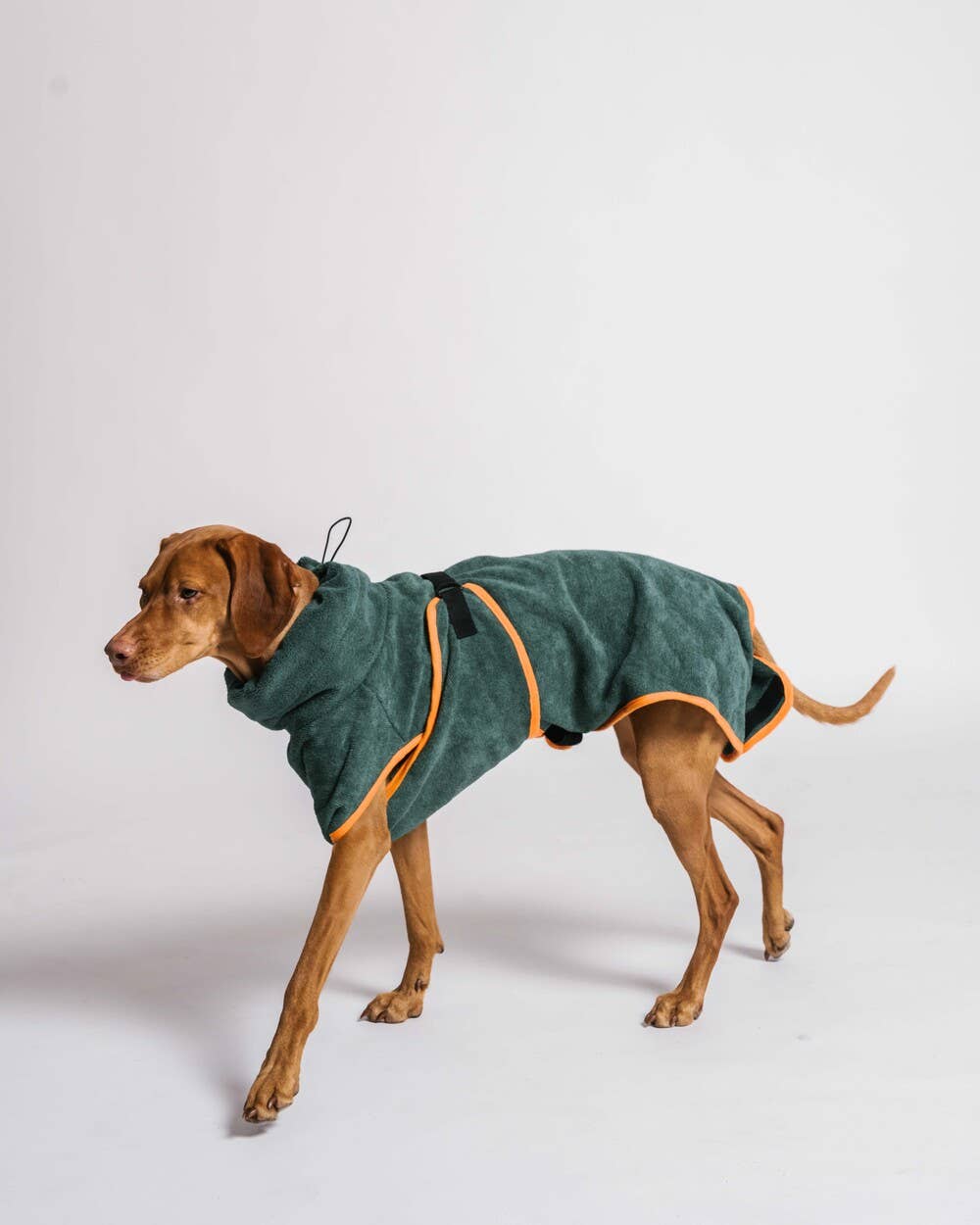Dog Robe / Dog Dry Towel - Green & Orange