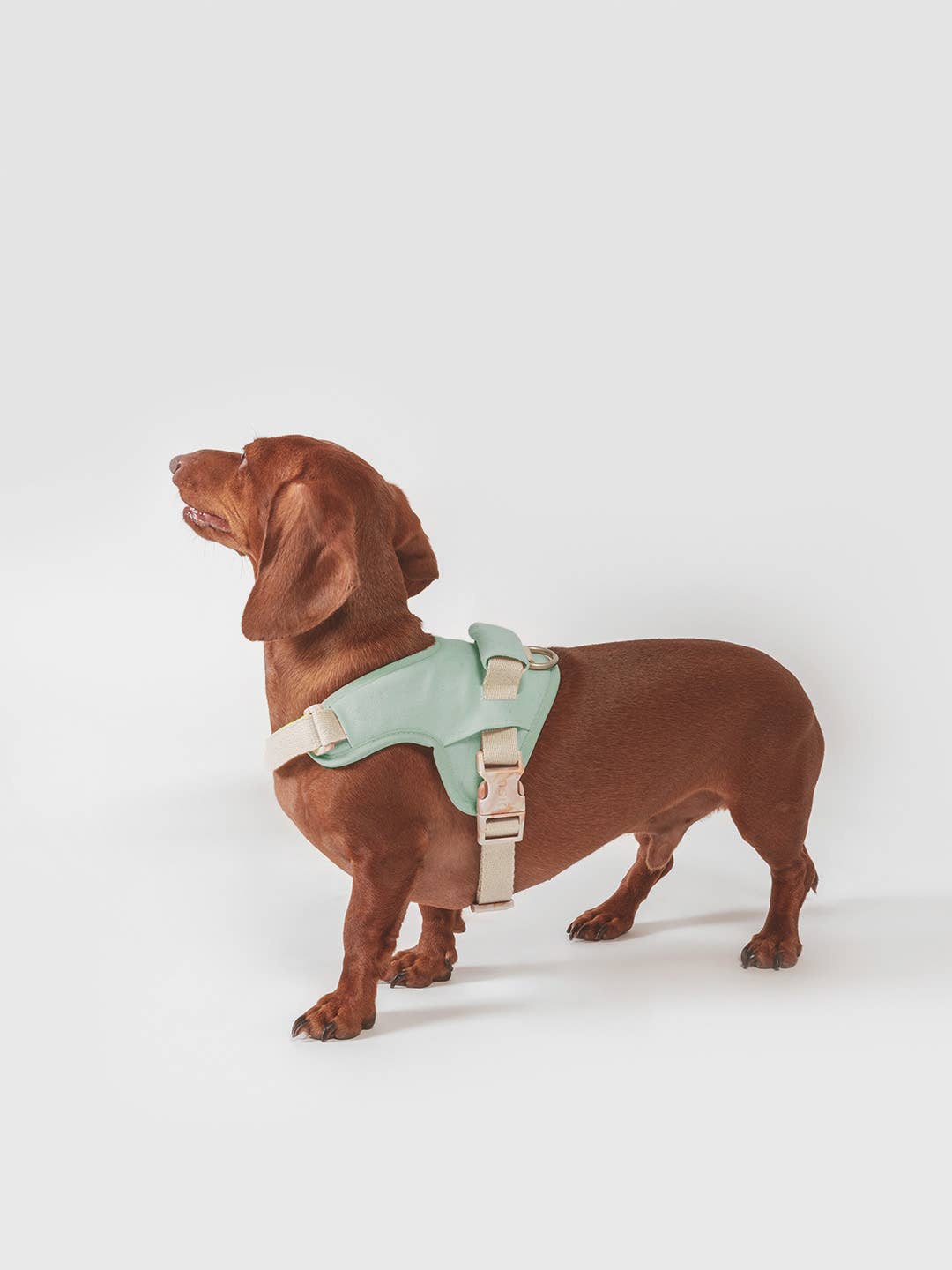 Dog harness | Hug Harness