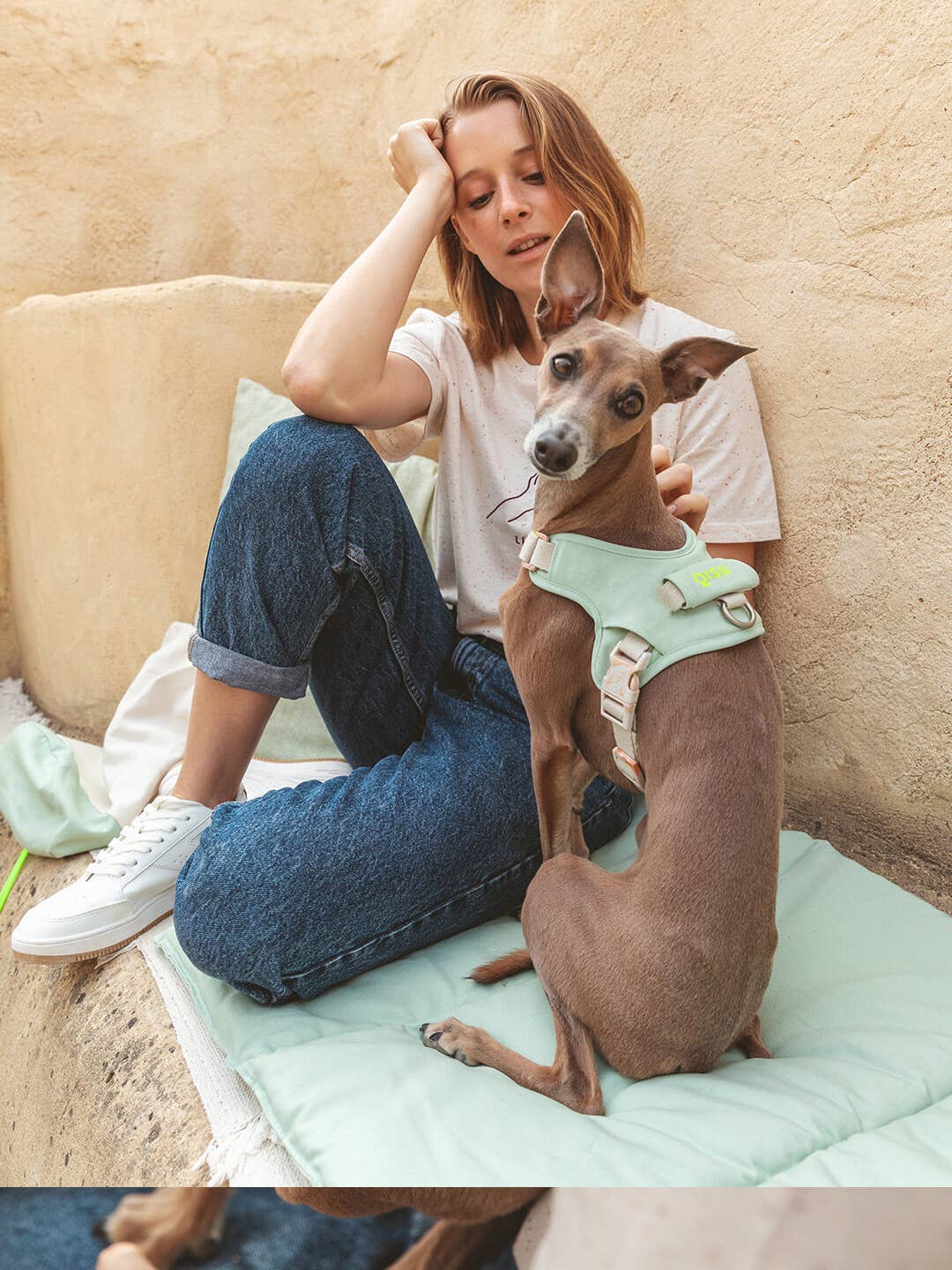 Dog harness | Hug Harness