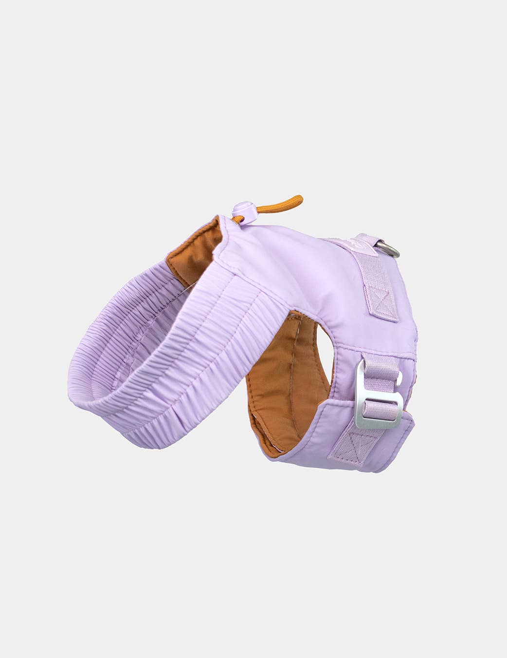 Dog harness for small dogs that converts into a jacket