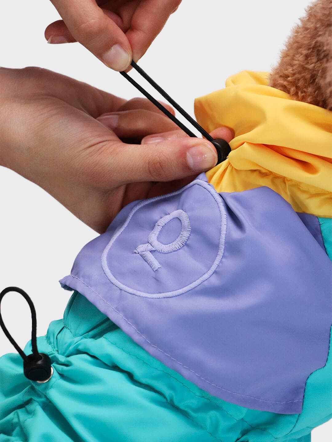 Raincoat for dogs | Tropical color