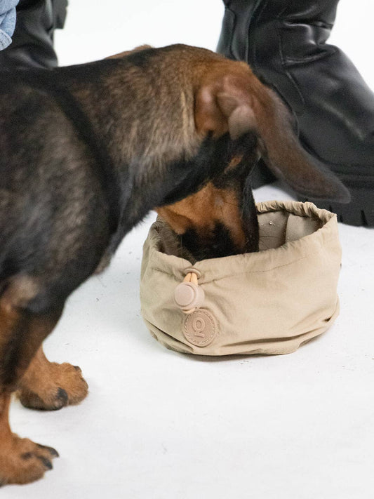 Dog Portable Bowl | Pocket Bowl™